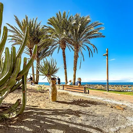 Ocean View Americas Apartament Playa de las Americas (Tenerife)